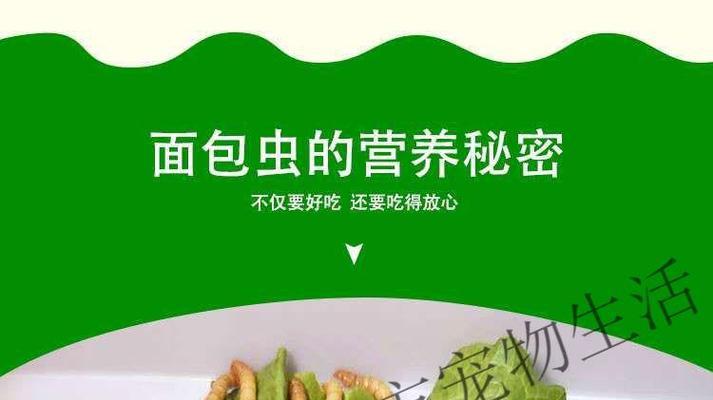 大麦虫钓鱼技巧大揭秘（掌握钓鱼技巧，轻松捕获丰富渔获）