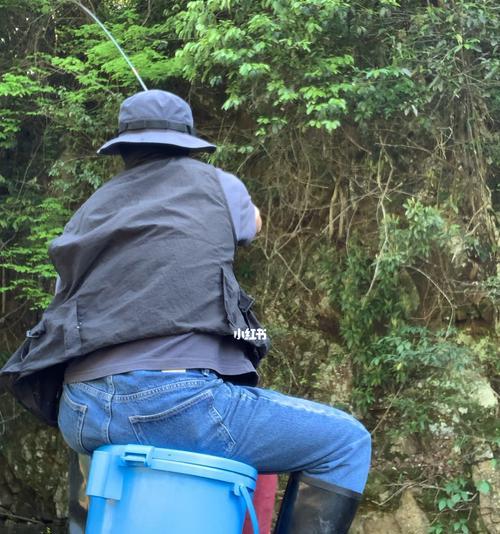大山溪流钓鱼技巧教程（探索大山溪流，成为高级钓鱼者）