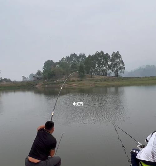 钓鱼技巧大揭秘（揭秘大师不愿说的钓鱼技巧，提升钓鱼成功率）