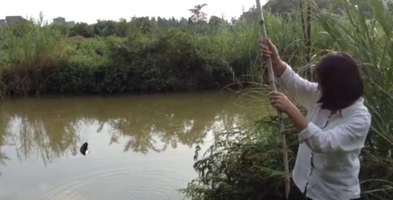钓鱼高级技巧大揭秘（大师都不告诉你的捕鱼秘籍，让你成为钓鱼达人）