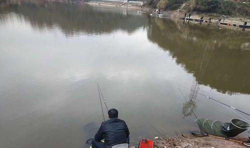 大师分享鱼塘钓鱼技巧（钓鱼高手教你捕鱼绝招）