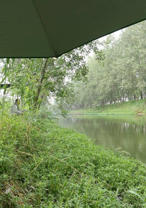 夏日大暑，钓鱼技巧全解析（享受钓鱼乐趣，迎接酷暑挑战）