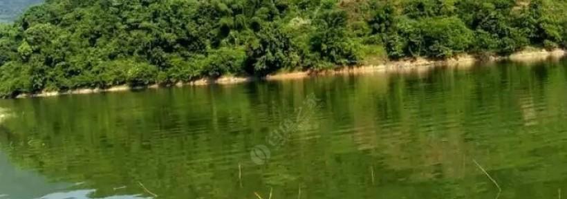 冬天大水库钓鱼技巧（享受寒冬，掌握大水库钓鱼的窍门）