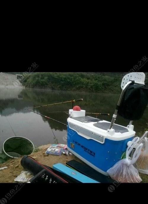 大水库钓鱼技巧饵料的选择与应用（提升钓鱼成功率，探秘有效饵料）