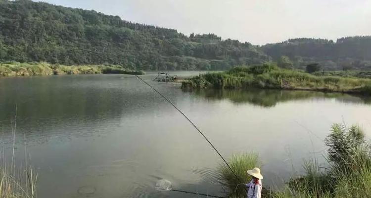 大水库野钓技巧（掌握这些技巧，让你的野钓收获满满！）