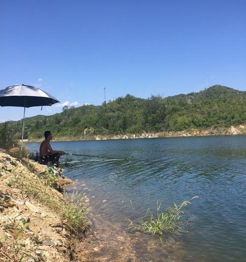 大水库野钓技巧与方法（提升钓鱼成功率的实用技巧与经验分享）