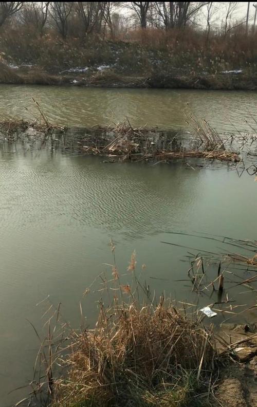 大水面流水钓鱼技巧（掌握流水技巧，成功钓鱼轻松无忧）