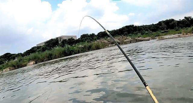 深秋大水面深水野钓技巧（技巧与经验分享，助你大获丰收）