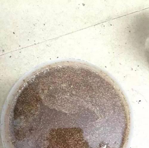大蒜钓鱼打窝的绝技（秘籍揭秘，捕获满载而归！）