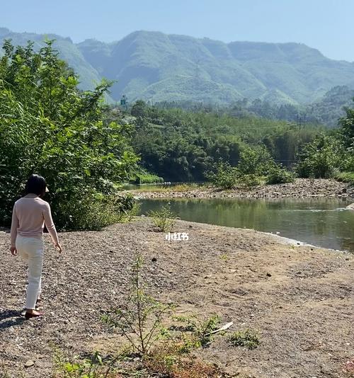 大型溪流池塘钓鱼技巧（掌握技巧提升钓鱼成功率）