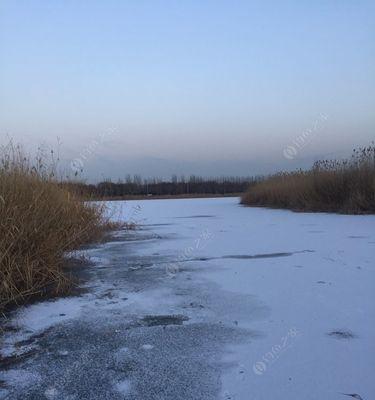大雁湖钓鱼技巧教程（掌握大雁湖钓鱼技巧，成为钓鱼高手）