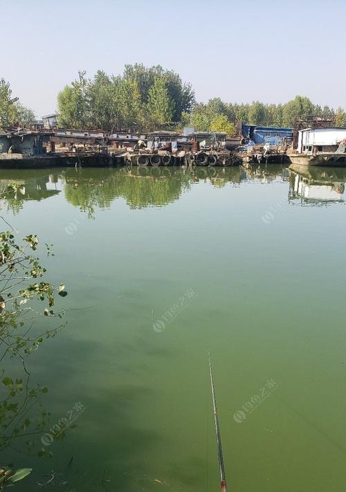 大沂河钓鱼技巧与方法（探索大沂河的丰鱼天堂，钓鱼技巧和方法一网打尽）