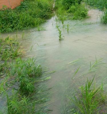 雨后河水钓鱼的技巧（掌握水流变化，提升钓鱼成功率）