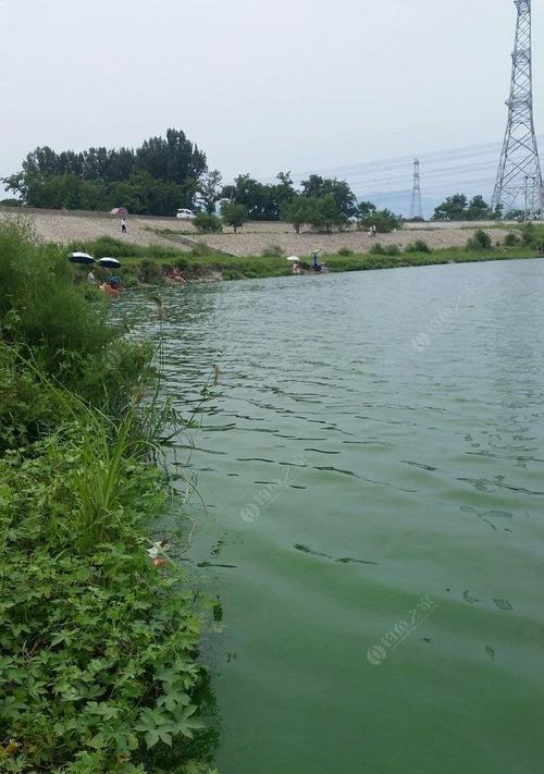 雨后钓鲫鱼的技巧（享受大自然的恩赐，轻松捕获丰盛的水库鲫鱼）