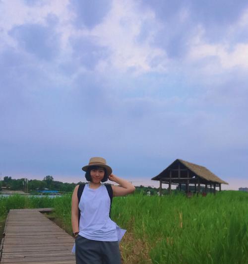 大运河野钓芦苇荡技巧（探秘芦苇荡中的钓鱼技巧）