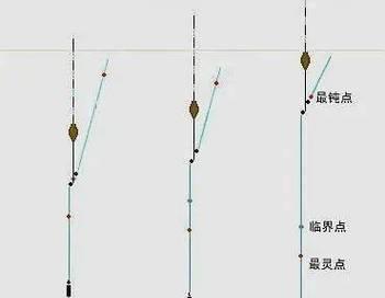 钓鱼技巧大揭秘（提高钓鱼成功率，轻松捕获丰富的鱼群！）