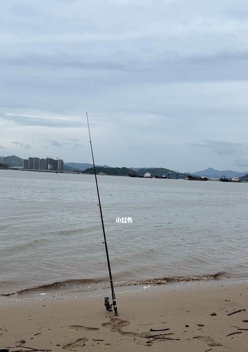 钓鱼技巧大揭秘（带朋友一起畅享钓鱼之乐）