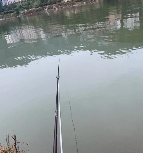 丹江湖钓鱼技巧（探寻丹江湖的钓鱼奥秘）