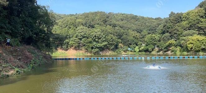 丹江湖钓鱼技巧最新解析（全面提升你的钓鱼技能，享受湖畔钓鱼的乐趣）