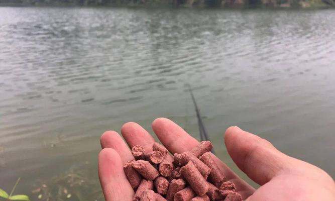 丹江水库野钓鲫鱼打窝技巧（掌握窝点选位是关键，以丹江水库钓鲫鱼的窍门）
