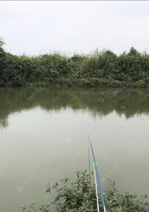 丹江小库钓鱼技巧（探秘丹江小库钓鱼技巧，教你捕获丰收之鱼）