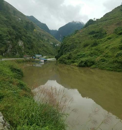 淡水溪流钓鱼技巧（享受自然乐趣的钓鱼之旅）