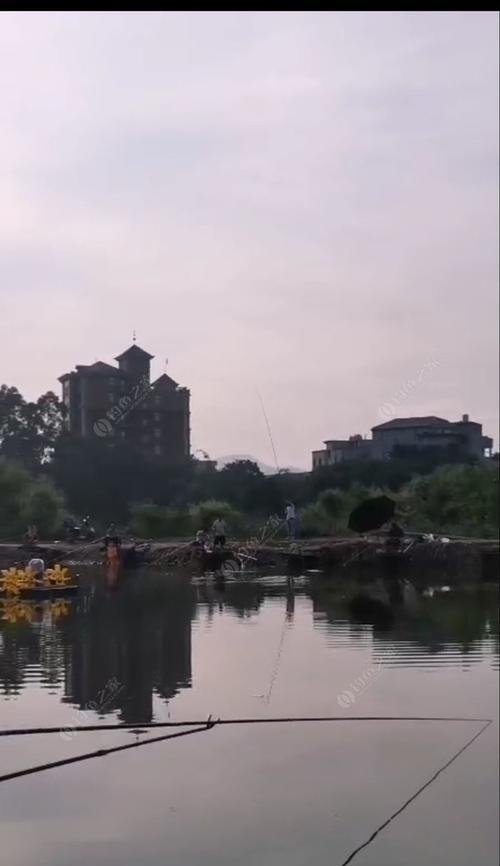 淡水鱼养殖塘口钓鱼技巧（技巧详解，让你钓鱼事半功倍！）