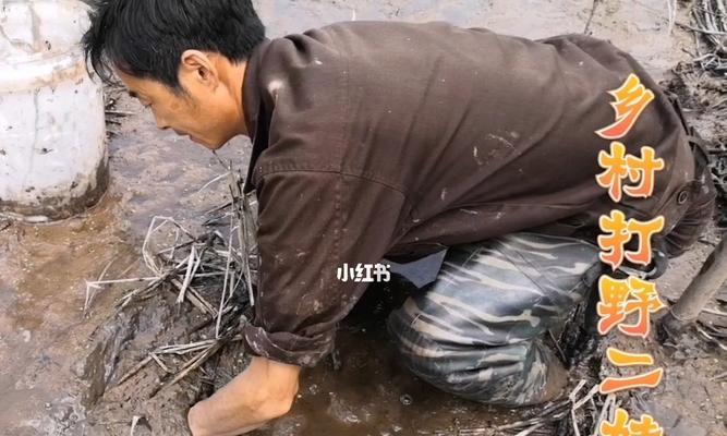 稻田二娃钓鱼技巧（稻田二娃用心琢磨的钓鱼技巧）