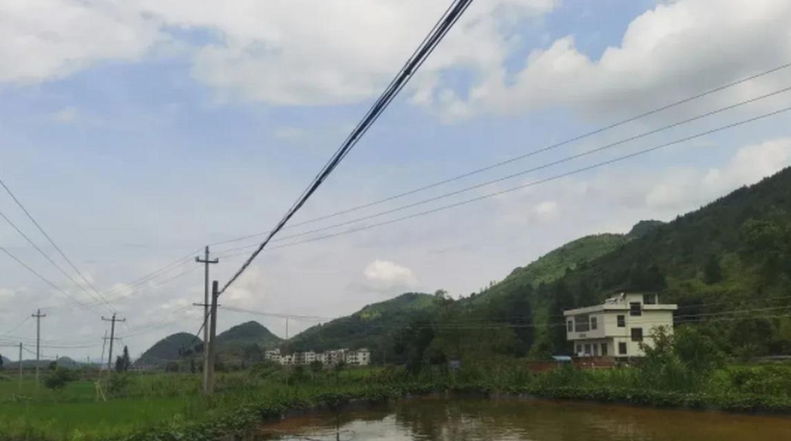 稻田沟野钓技巧大揭秘（掌握这些技巧，让你的钓鱼收获翻倍）