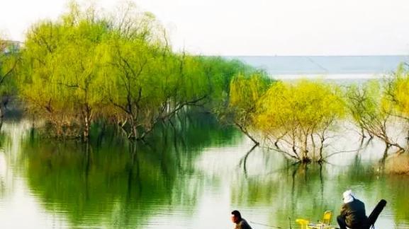低温季节钓鱼技巧大揭秘（享受冬日乐趣，低温下也能钓到丰收）