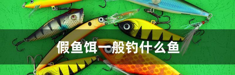 底层鱼钓技巧大揭秘（掌握底层鱼钓技巧，快速获得丰富收获）