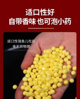 第三代珠珠钓鱼技巧（珠珠钓鱼的高级技巧与经验分享）