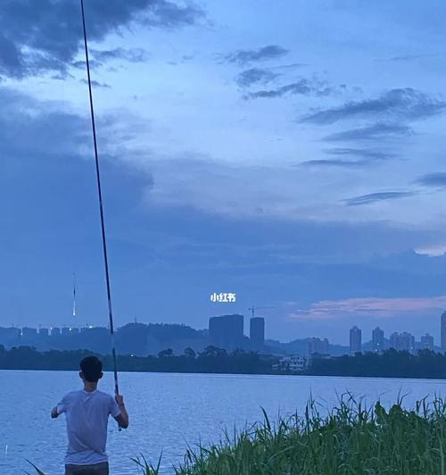 钓鱼技巧（掌握关键技巧，让你成为高手）