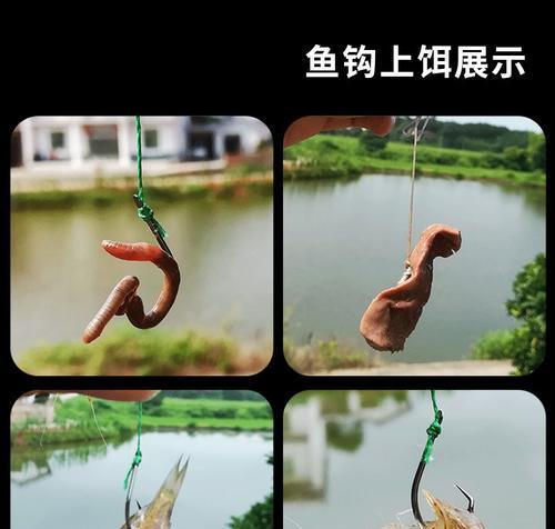 电排钩钓鱼技巧详解（掌握电排钩技巧，提高钓鱼效果）