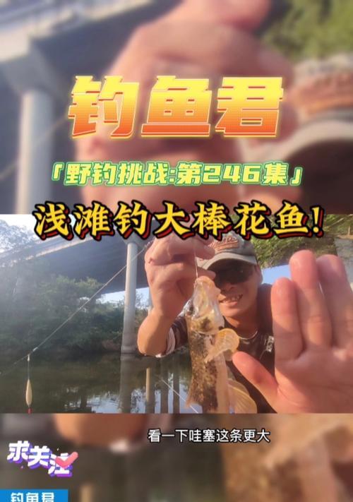 钓鱼技巧与野钓指南（大师教你成为优秀的钓鱼者）