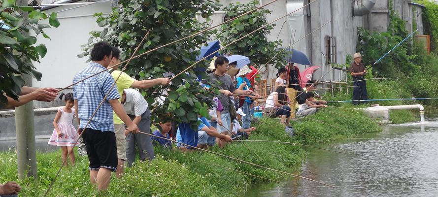 夏季钓鱼技巧与方法（解锁夏季钓鱼秘籍，轻松钓获丰收）