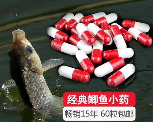 钓鱼技巧与鱼饵大揭秘（钓鱼技巧、鱼饵种类与使用心得分享）