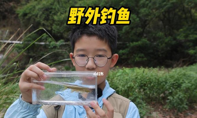 野钓技巧大全（从零基础到钓鱼高手，教你掌握野钓技巧）