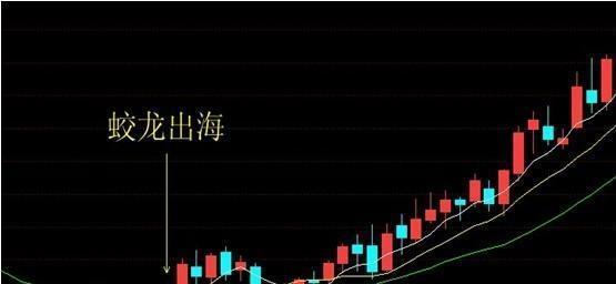 钓鱼技巧经典战法（掌握成功的关键，提升钓鱼技艺）