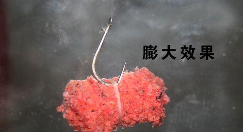 钓鱼技巧（钓鱼高手教你如何稳固挂钩，提高钓鱼效果）