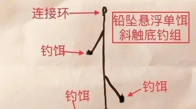 钓鱼技巧（掌握绑钩技巧，提升钓鱼效果）