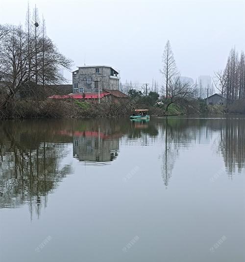 揭秘鳑鲏的钓鱼技巧与习性（钓鱼专家带你了解鳑鲏，成为钓鱼高手）