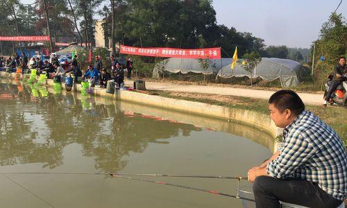冬季丹江水库钓鱼技巧大全（解锁冬季丹江水库钓鱼的秘密，让你大获成功！）