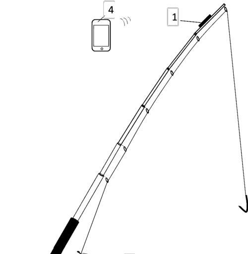 识别高碳低碳鱼竿的技巧（掌握关键特征，选择合适工具）