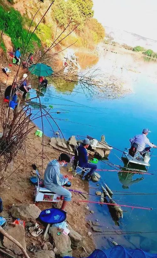秋季钓鱼技巧（探索合适的位置，提高钓鱼成功率）