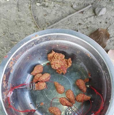 钓鱼技巧与用手抓鱼的方法（钓鱼与手抓鱼，捕获鲜美美味的技巧和方法）
