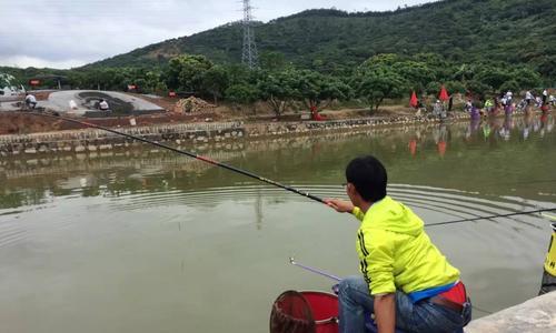 钓鱼看漂拉鱼技巧（大提灯顶漂技巧及应用）