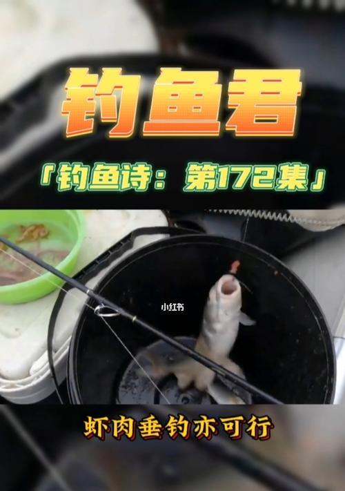 冬天钓鱼的口诀与技巧（寒冷季节钓鱼的窍门与技巧，让你钓上丰收）