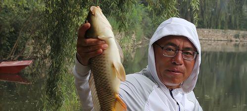 钓鱼拉饵的技巧与方法（探秘钓鱼拉饵的关键步骤，提高你的钓鱼成功率）