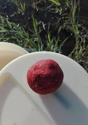 钓鱼拉饵找底的技巧（掌握技巧，提高钓鱼成功率）